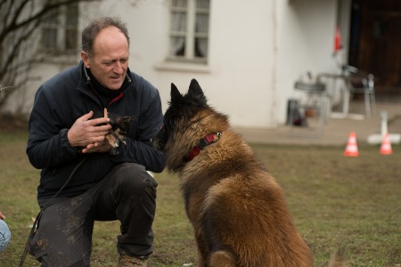 Jaro und Vito Welpentraining Jörg Gabi Hundschule Bern